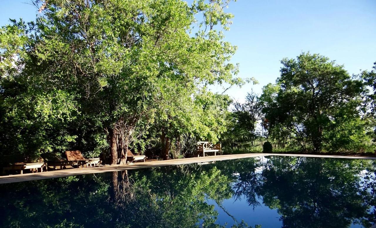 Ikweta Safari Camp Hotell Maua Exteriör bild